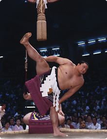 相撲文化イメージ